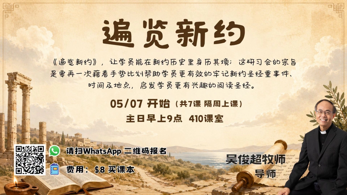 遍览新约